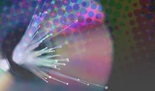 Available Services at Print Systems Limited